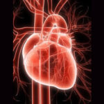 Preventing Heart Disease