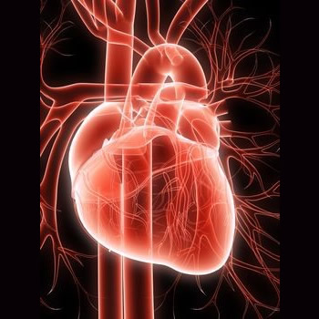 Preventing Heart Disease | PHARMACISTBEN