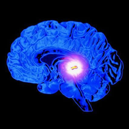 Melatonin: Biggest Health Bang For Your Money