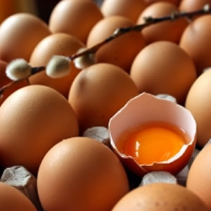 Eggs, Lecithin, Choline & TMAO