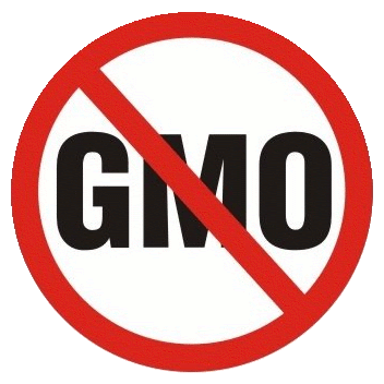 Global Protest Against Monsanto GMOs