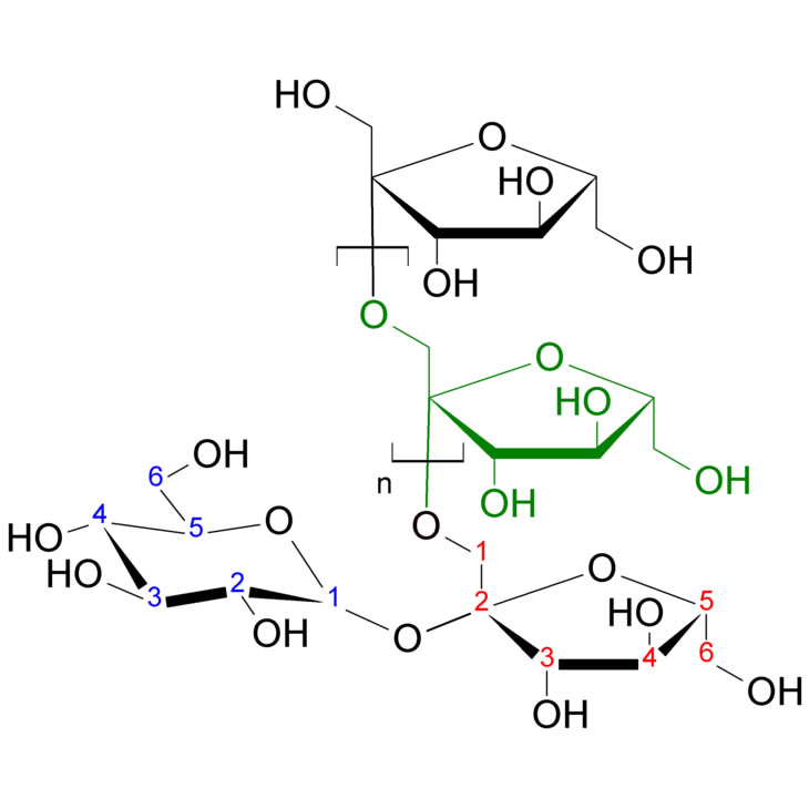 Pre-biotics, Inulin and FOS